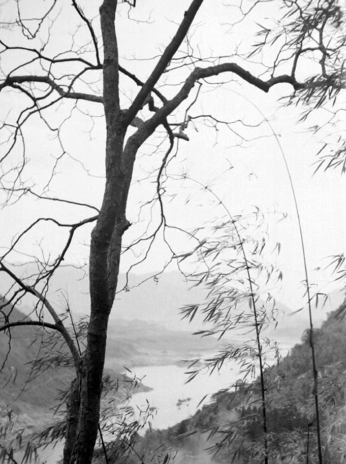 View of a river through bamboo  Chungking 1940 905 - Fu Bingchang | Landscape photography | Portrait photography - Fu Bingchang 傅秉常